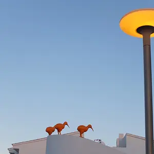 3 little birds.