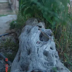 [No title]