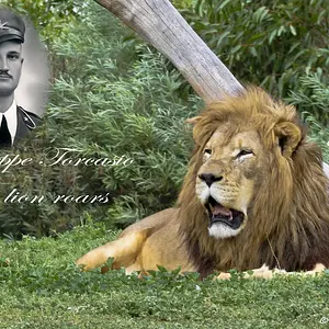 Giuseppe Torcasio: forver