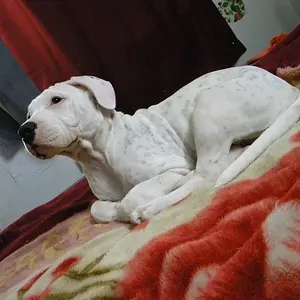 [No title]