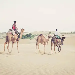 Camel Trekkers the Masters