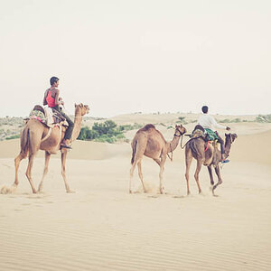Camel Trekkers the Masters
