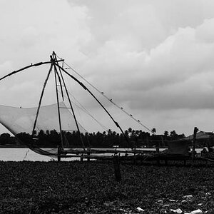 Chinese Fishing Nets - Cochin 2