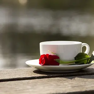 Table with Cup and Rose