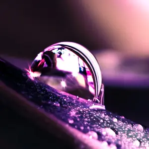 [No title]