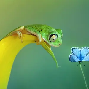 [No title]