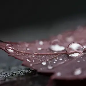 [No title]