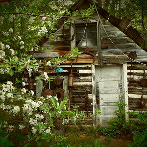 Our old ice shack