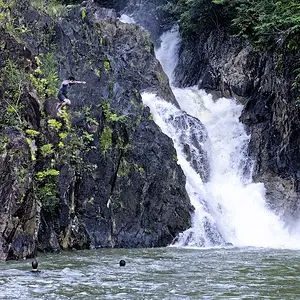 Jungle Falls