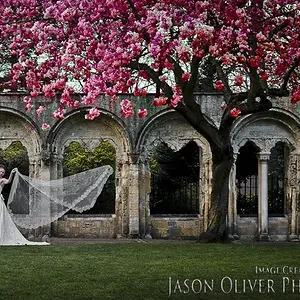 Bride in the Minster Gardens