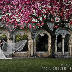 Bride in the Minster Gardens
