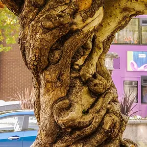 [No title]