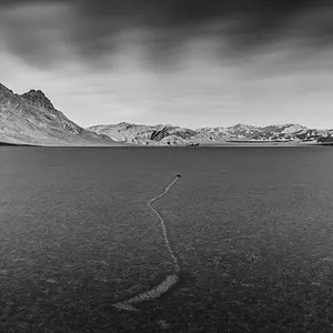 RaceTrack Playa