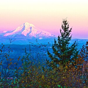 Mount Hood taken near Oregon City, Oregon