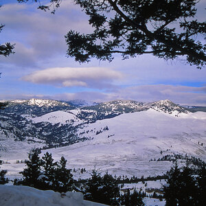 Yellowstone National Park