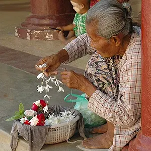 Making wreathes