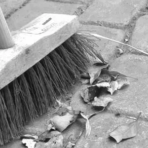 07julyphoto37-Brush