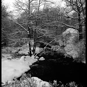 07decphoto21-Wintry Stream