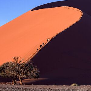 Dune 45 of Sossusvlei in the Morning, Namib-Naukluft Park, Namib
