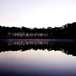 [No title]