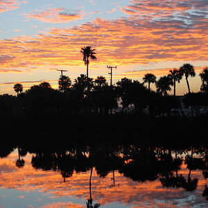 Daytona Sunrise