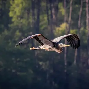 [No title]