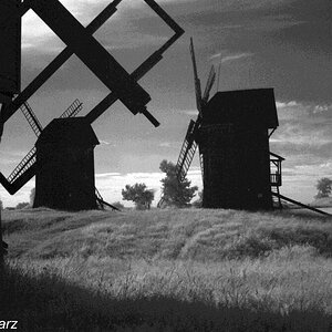 The Windmills on the Hill