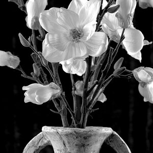 Vase and Flowers.jpeg