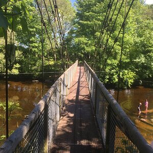 Edzell Shaky Bridge.JPG