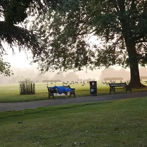 Homeless at Sunrise. Springfield Park.