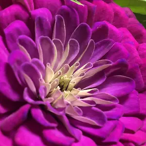 2594CA92-07EA-48D7-BC34-77D660CA7C72.jpeg