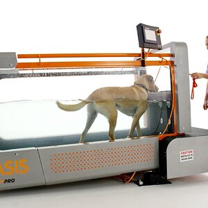 underwater treadmill for canine