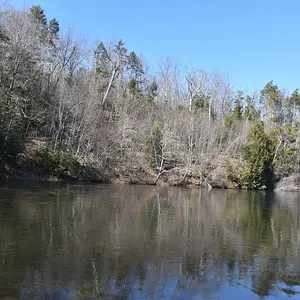DSC_1086.JPG