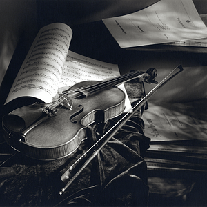 Paul Ulanowsky's violin.png