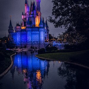 Cinderellas Castle.jpg
