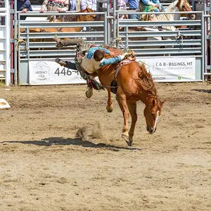 bareback riding 1