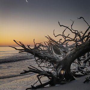 Driftwood Beach, Jekyll Island, GA