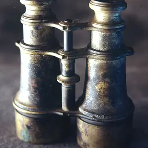 Binoculars3753.NEFopt.jpg