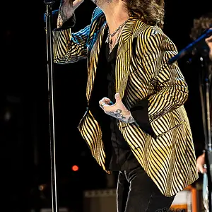 Chris Robinson of the Black Crowes - Wolf Trap
