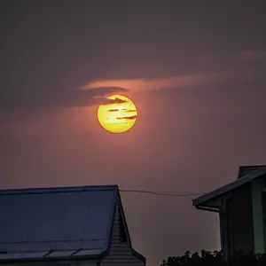 IMG_0487.jpg