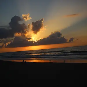 IMG_9827.JPG