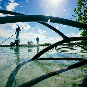 Fly fishing the flats of Berry Island, Bahamas
