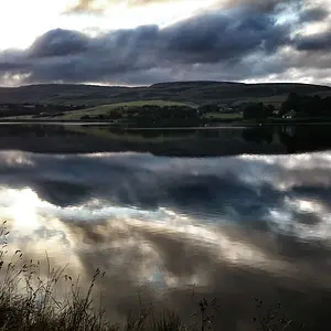 Lake.webp