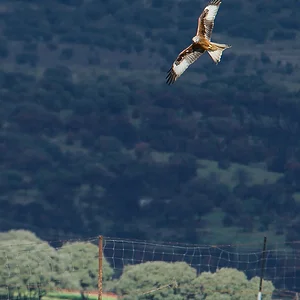202601 Prácticas - PdC, EV, Aves - 1 de 1.webp