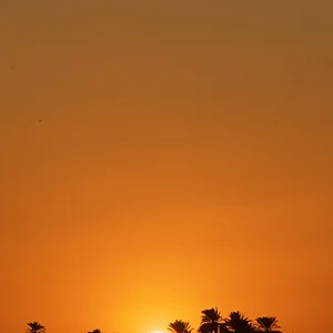 flickr_egipt