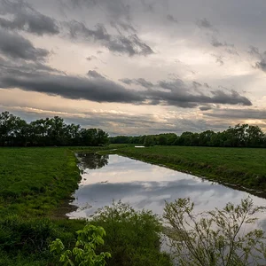 P1039884.webp