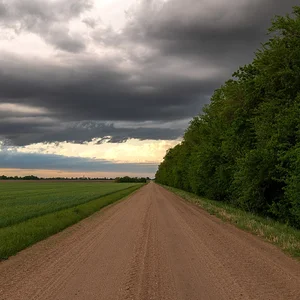 P1039895.webp