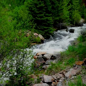 MuddyCreek_2026_06_08.mp4