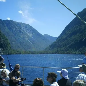 cruising doubtful sound