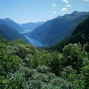 going to doubtful sound